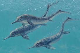 ���壺���ںϰ��ѣ���ʼ����